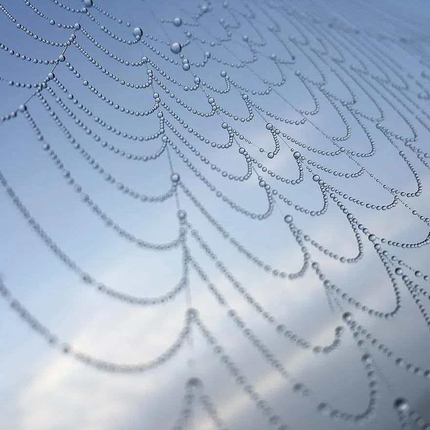 affinity network.jpeg