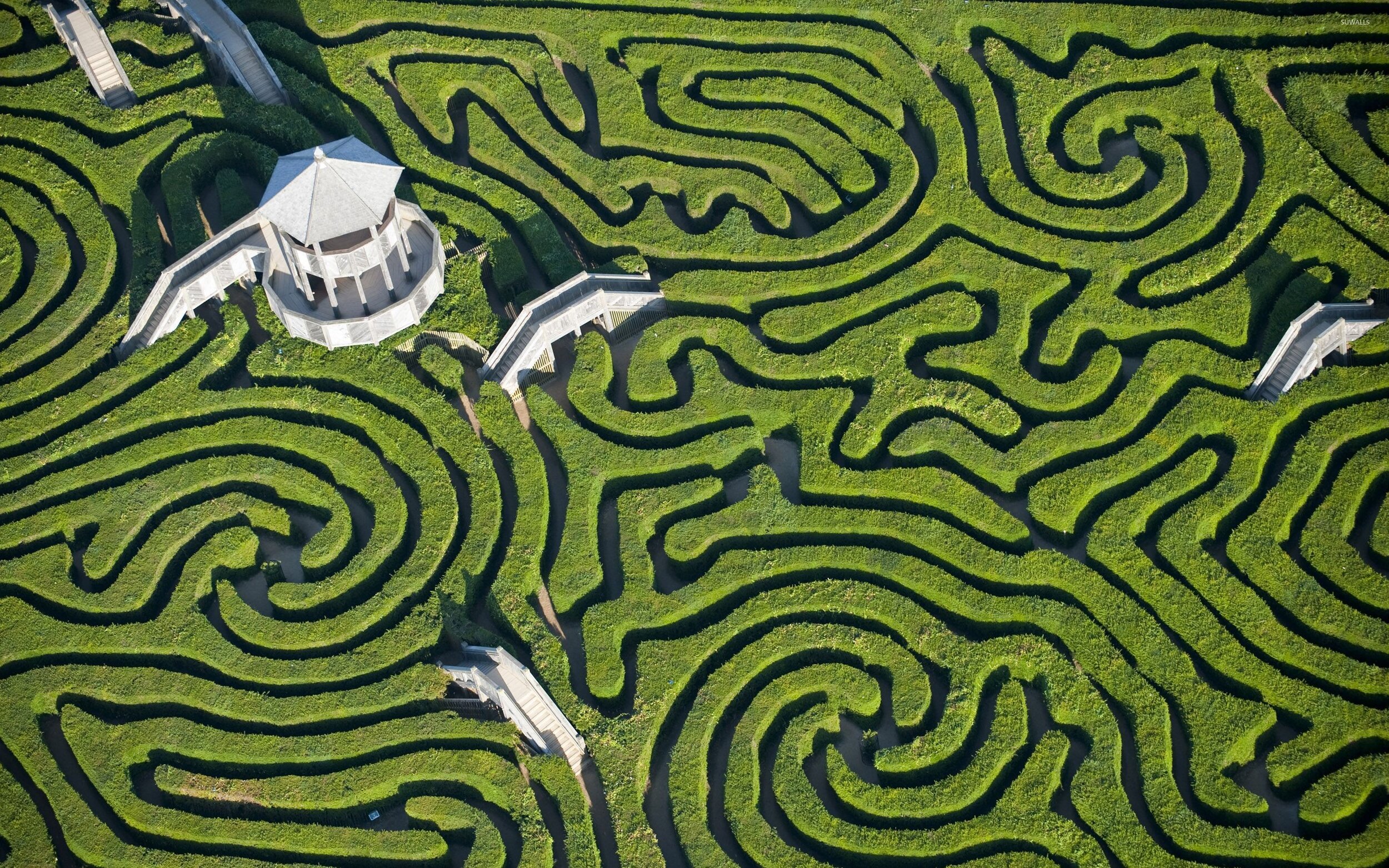 nature maze.jpeg