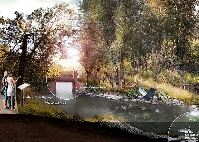 The concept of the lagoons reconnection was reviewed through the Bend in the Bow project. As part of this work, various scientists, surveyors, and engineers will be visiting the site over the coming months.