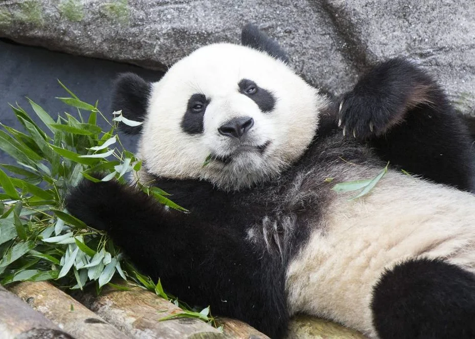 Calgary Zoo’s West Gate will be closed effective Tuesday, October 9, 2018. Photo Source: Global News