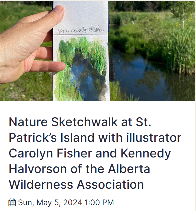 st patricls island sketch walk.png