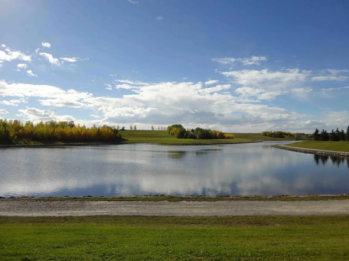 As part of the Parks and Playground Amenities Program (PAPA) and in partnership with Enmax, electrical upgrades and a new irrigation system are being planned for Elliston Park. 

Both projects are scheduled concurrently, with work beginning on Septem