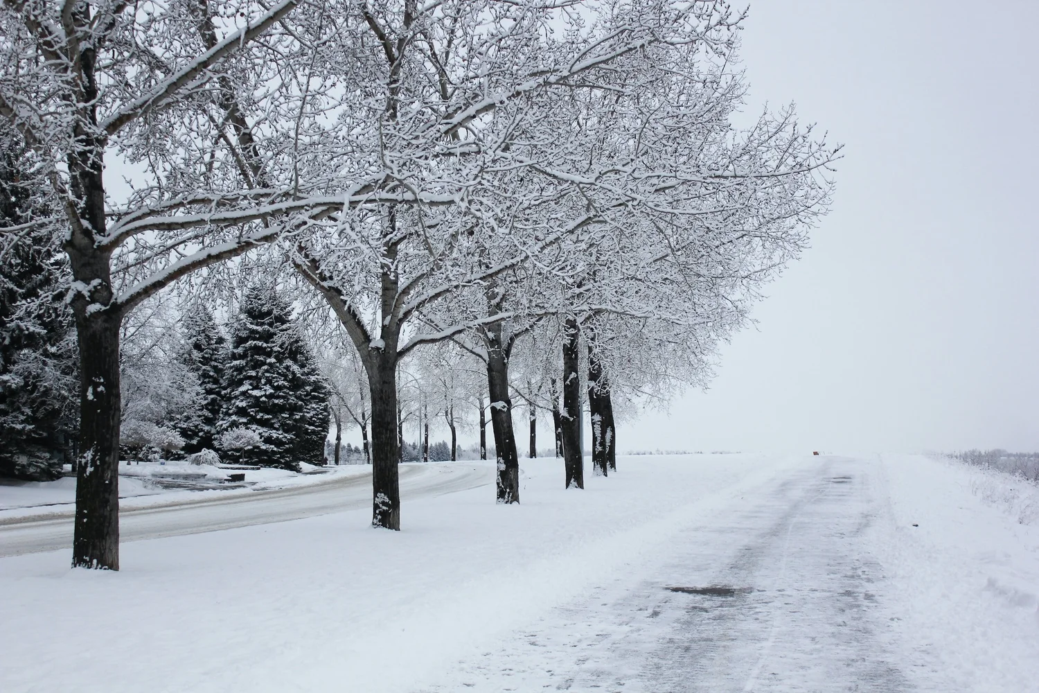 Coordinated Community Extreme Weather Response — Ward 9 Great ...
