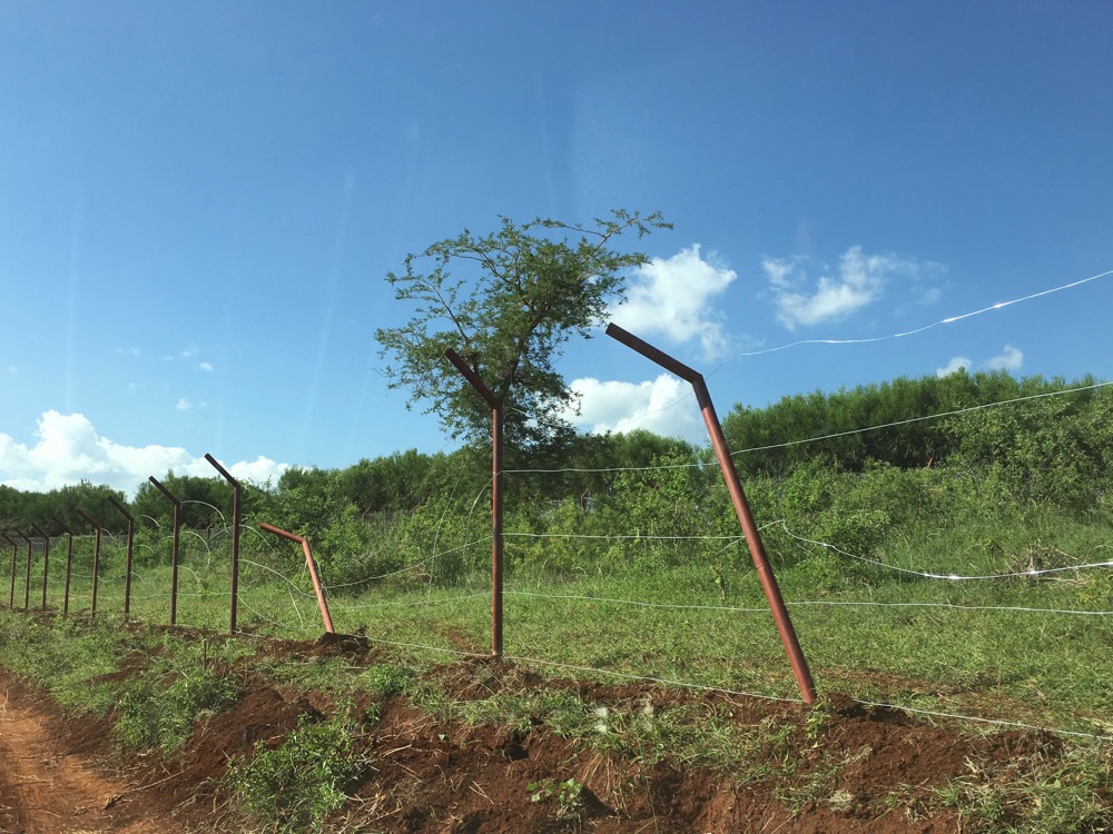 UNFINISHED FENCE WHERE ELEPHANTS ENTERED