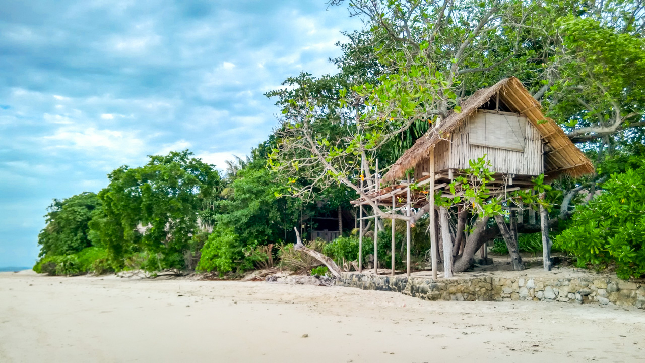 05_Tree House_06.jpg