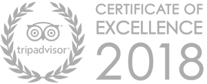 TripAdviser-COE2018-Gray-WEB.png