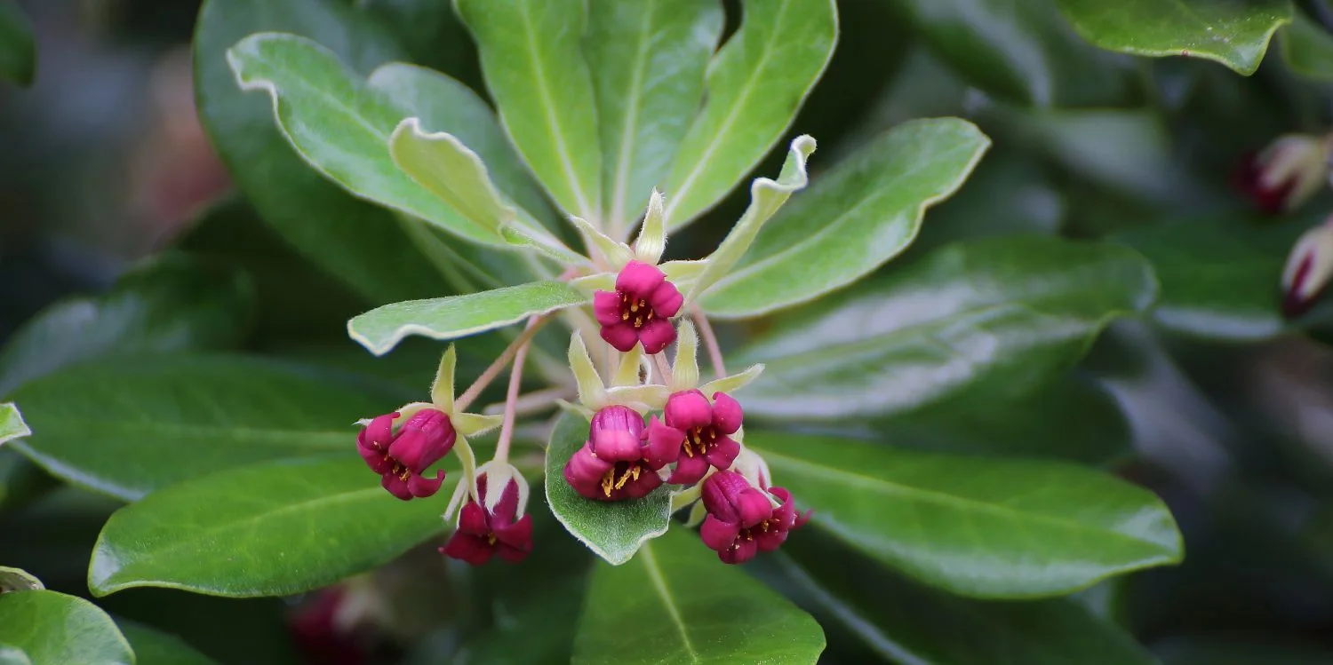 9sep14 008(21dm).JPG