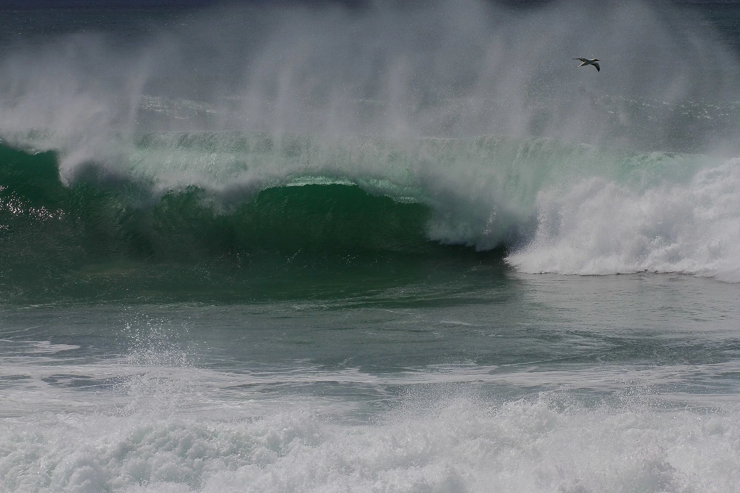 141002-7d 198b11.JPEG