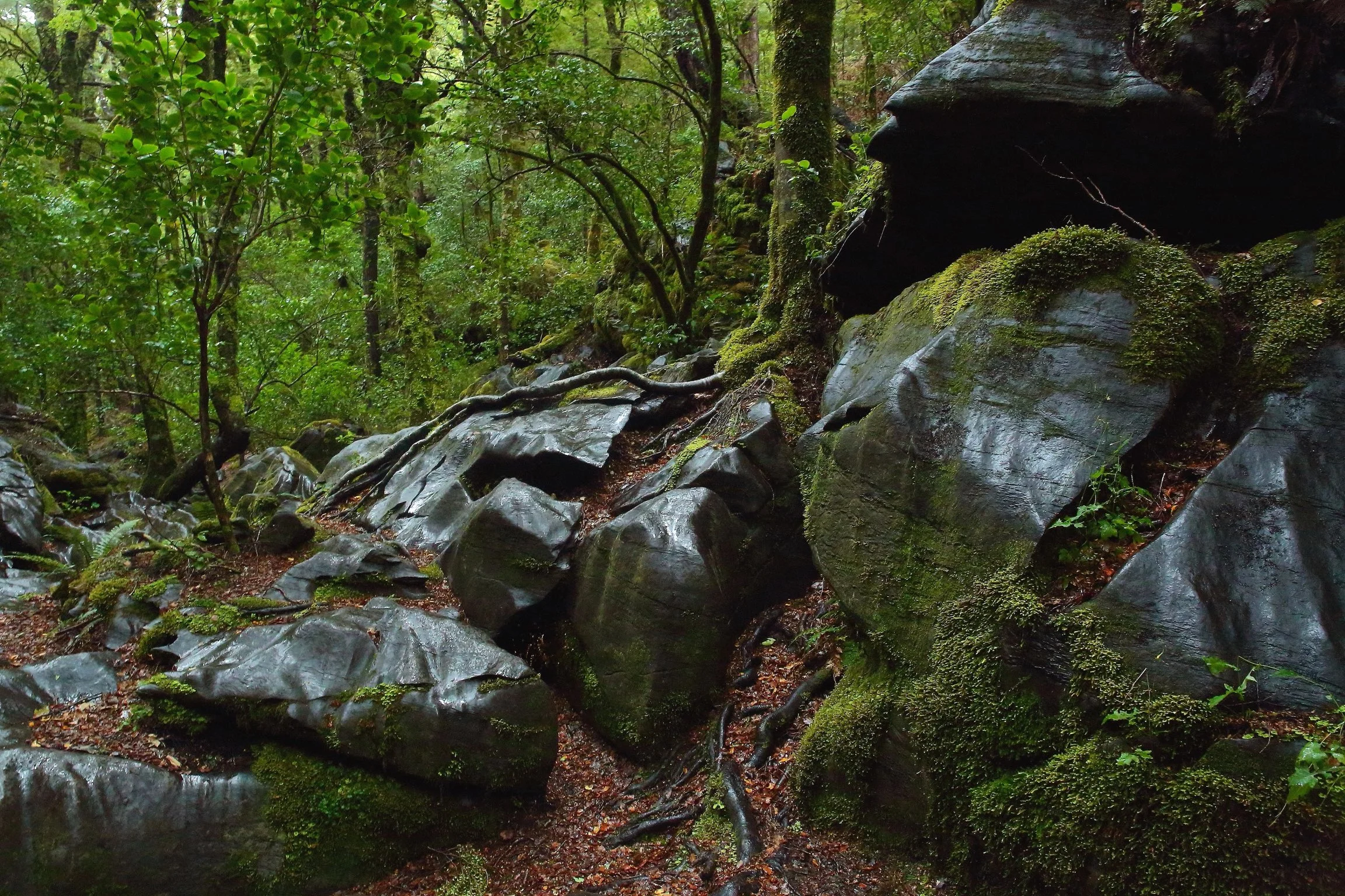 150315 216a1113.JPEG