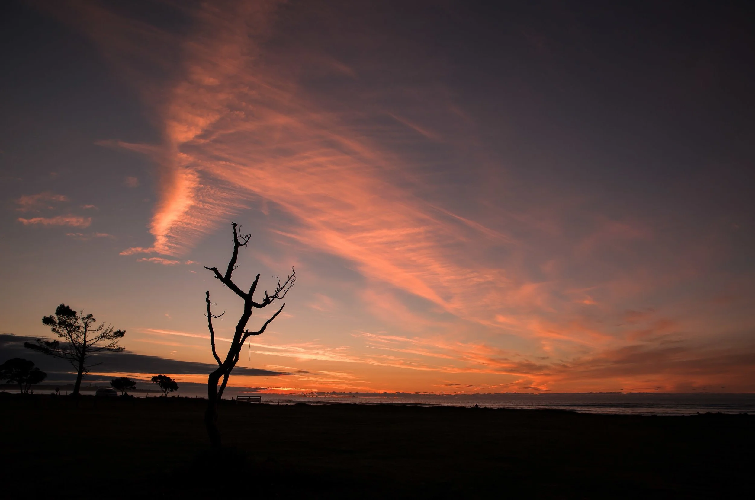 Carters Beach, Westport,160427-68113.JPEG