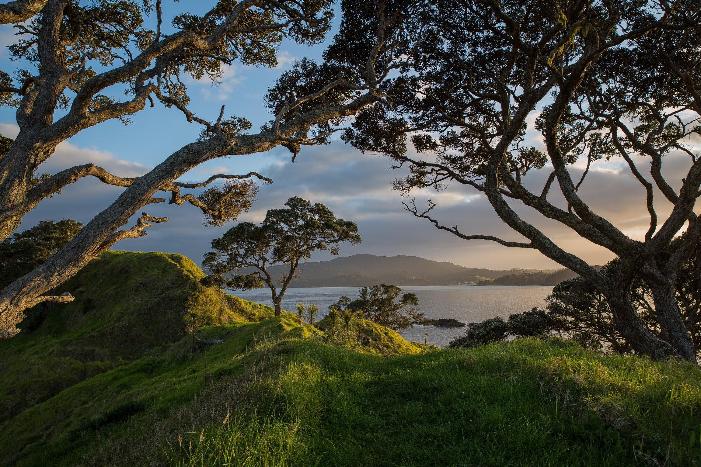 Far North,Coopers Beach,Sunrise,151021-3951311.JPEG