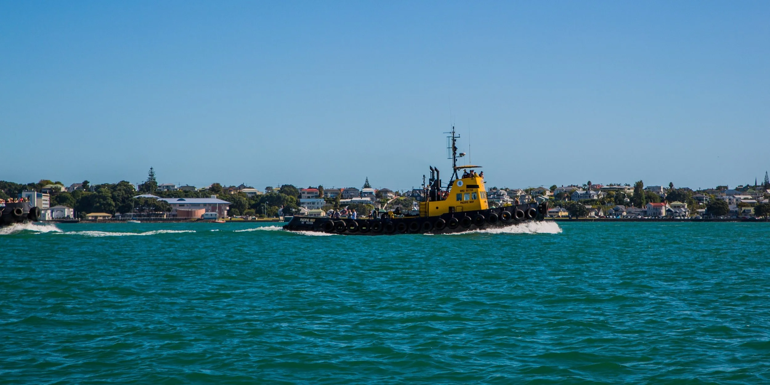 Auckland Anniversary Regatta-3821d.jpg