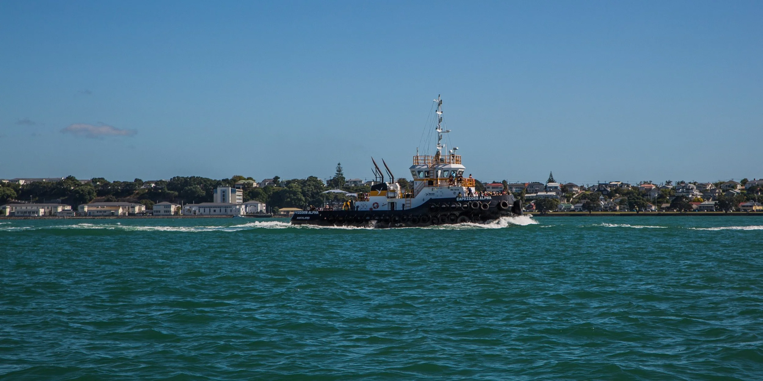 Auckland Anniversary Regatta-3822d.jpg