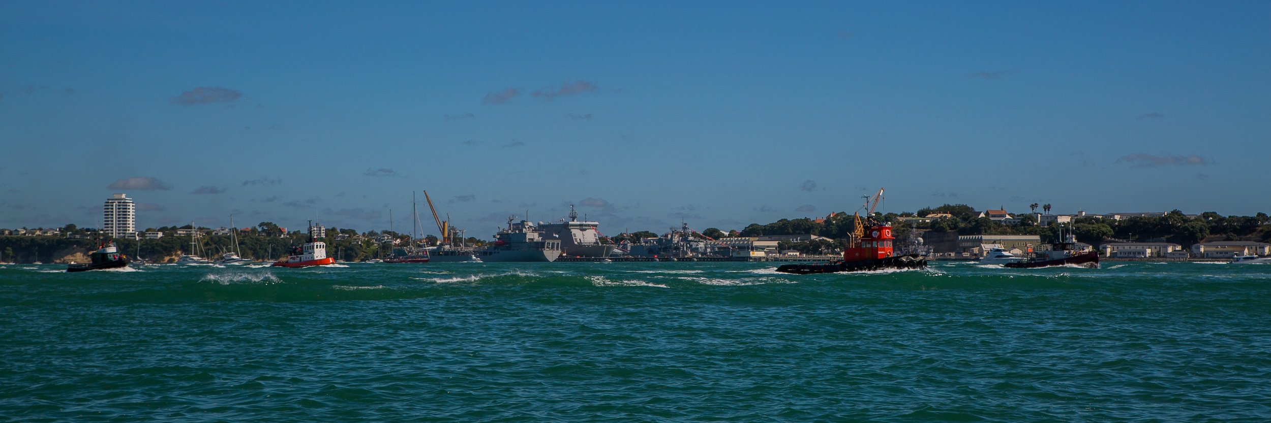 Auckland Anniversary Regatta-3823.JPG