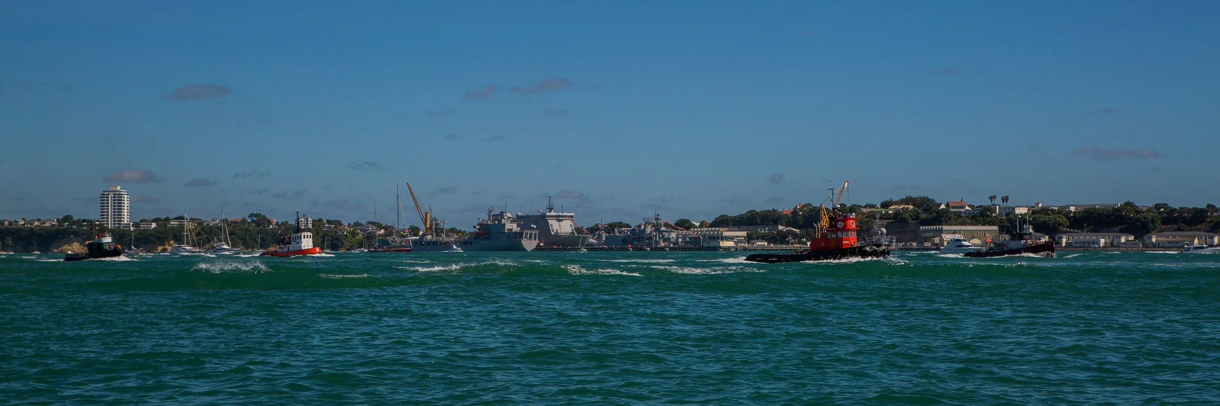 Auckland Anniversary Regatta-3823.JPG