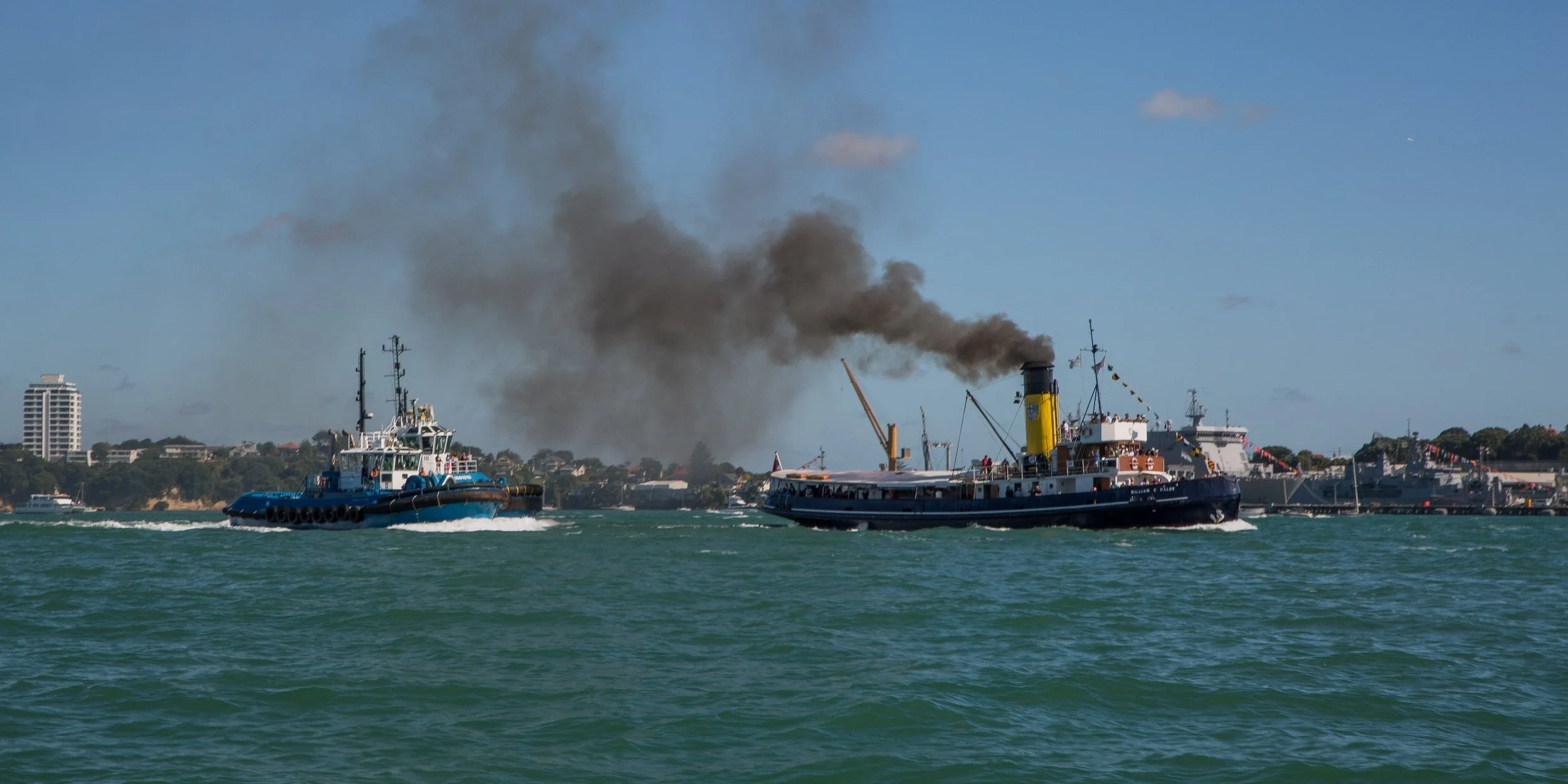 Auckland Anniversary Regatta-3831d.jpg