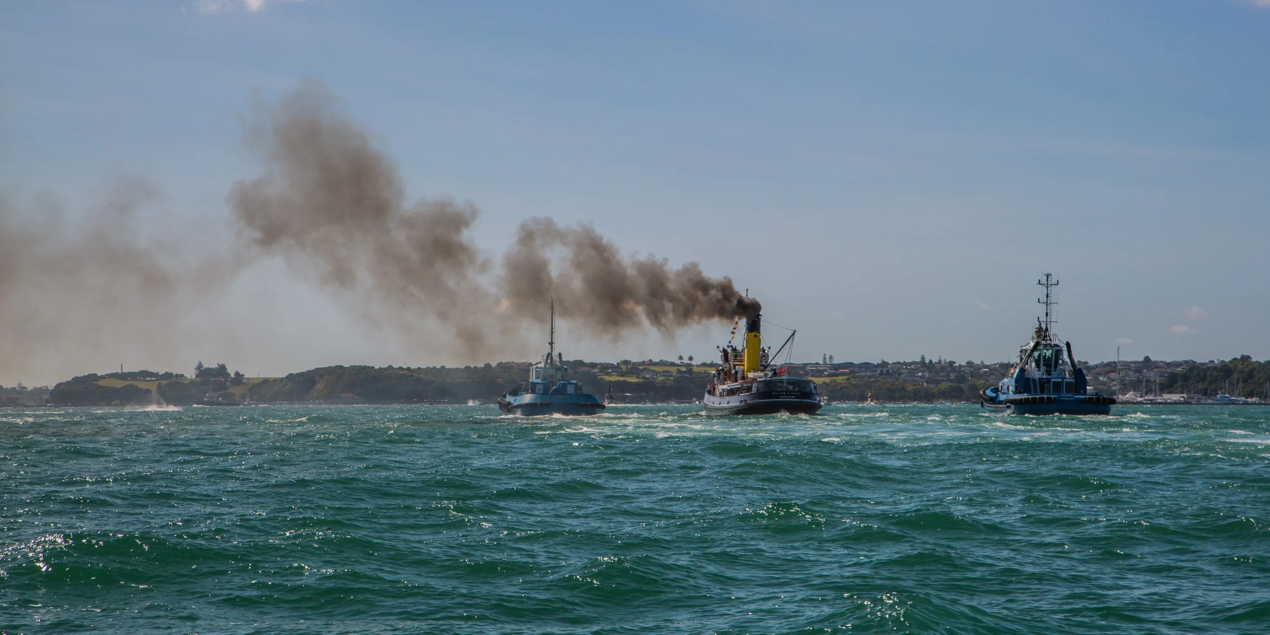 Auckland Anniversary Regatta-3839d.jpg