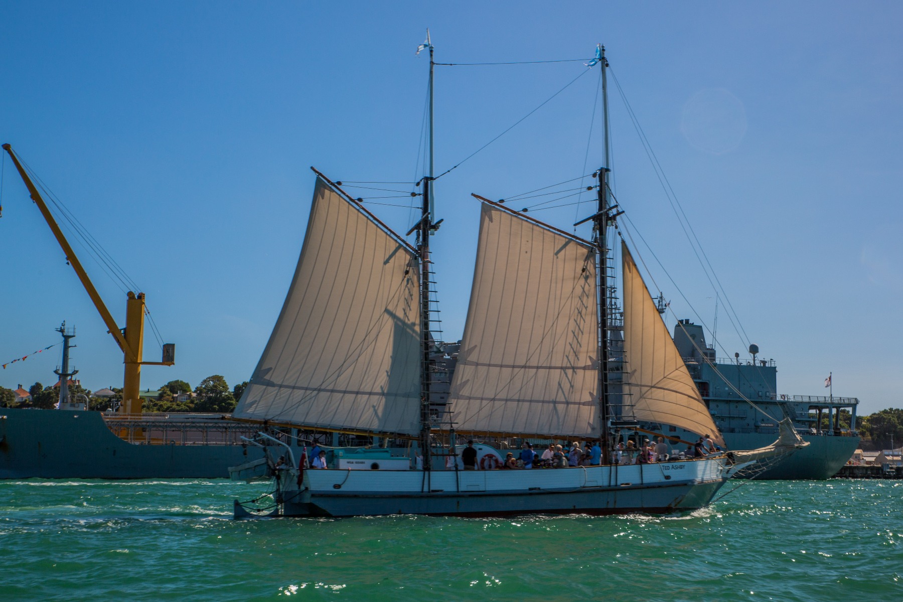 Auckland Anniversary Regatta-3869d.jpg