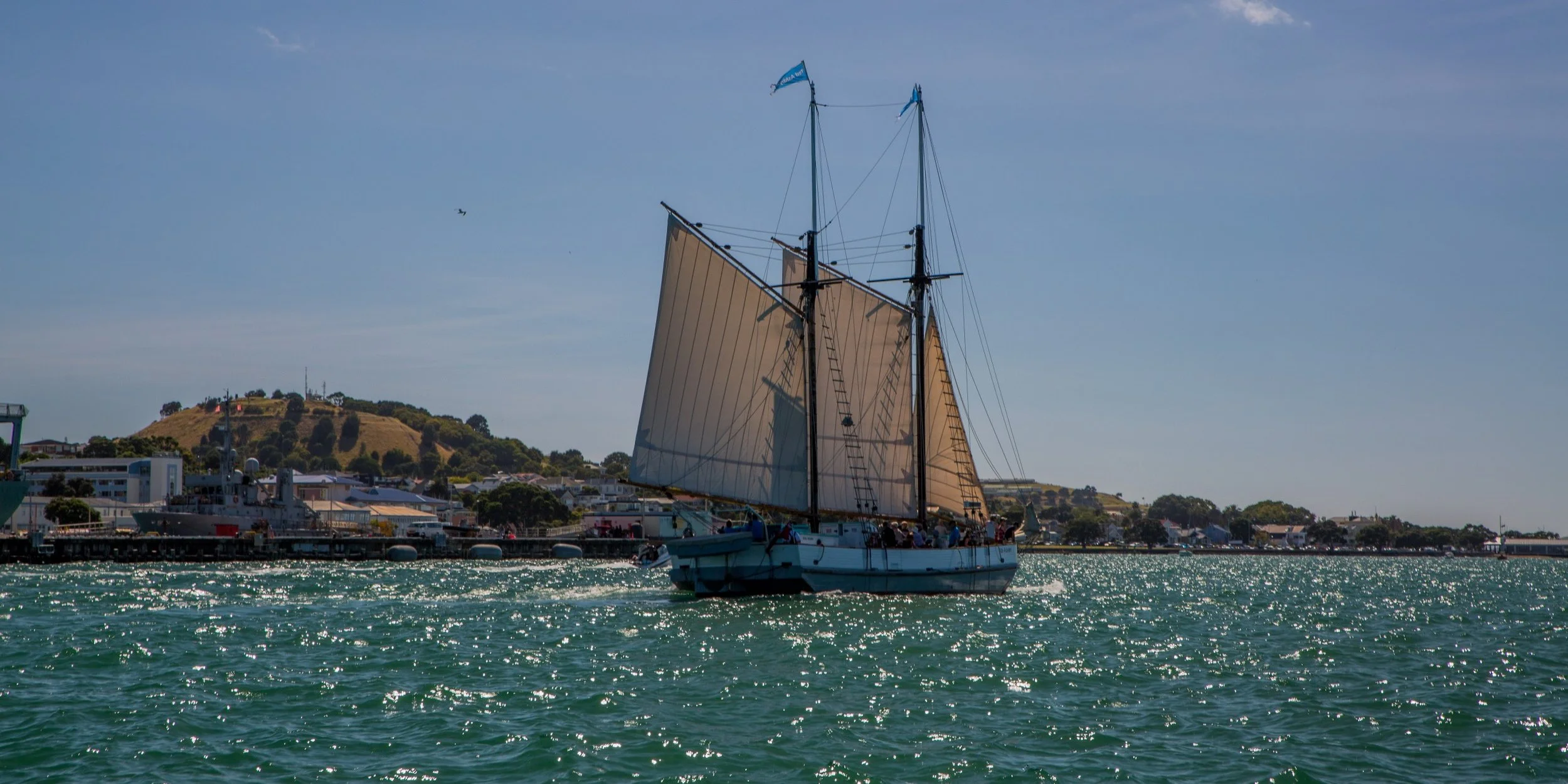 Auckland Anniversary Regatta-3870d.jpg