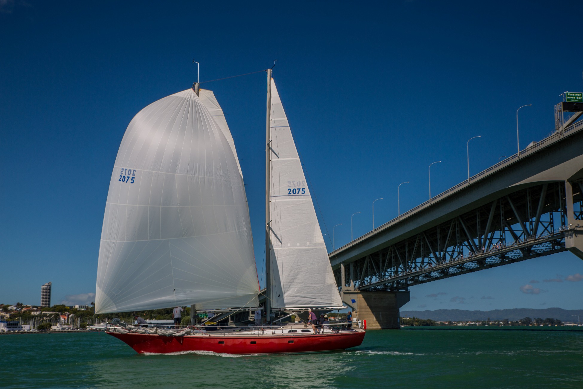 Auckland Anniversary Regatta-3883d.jpg
