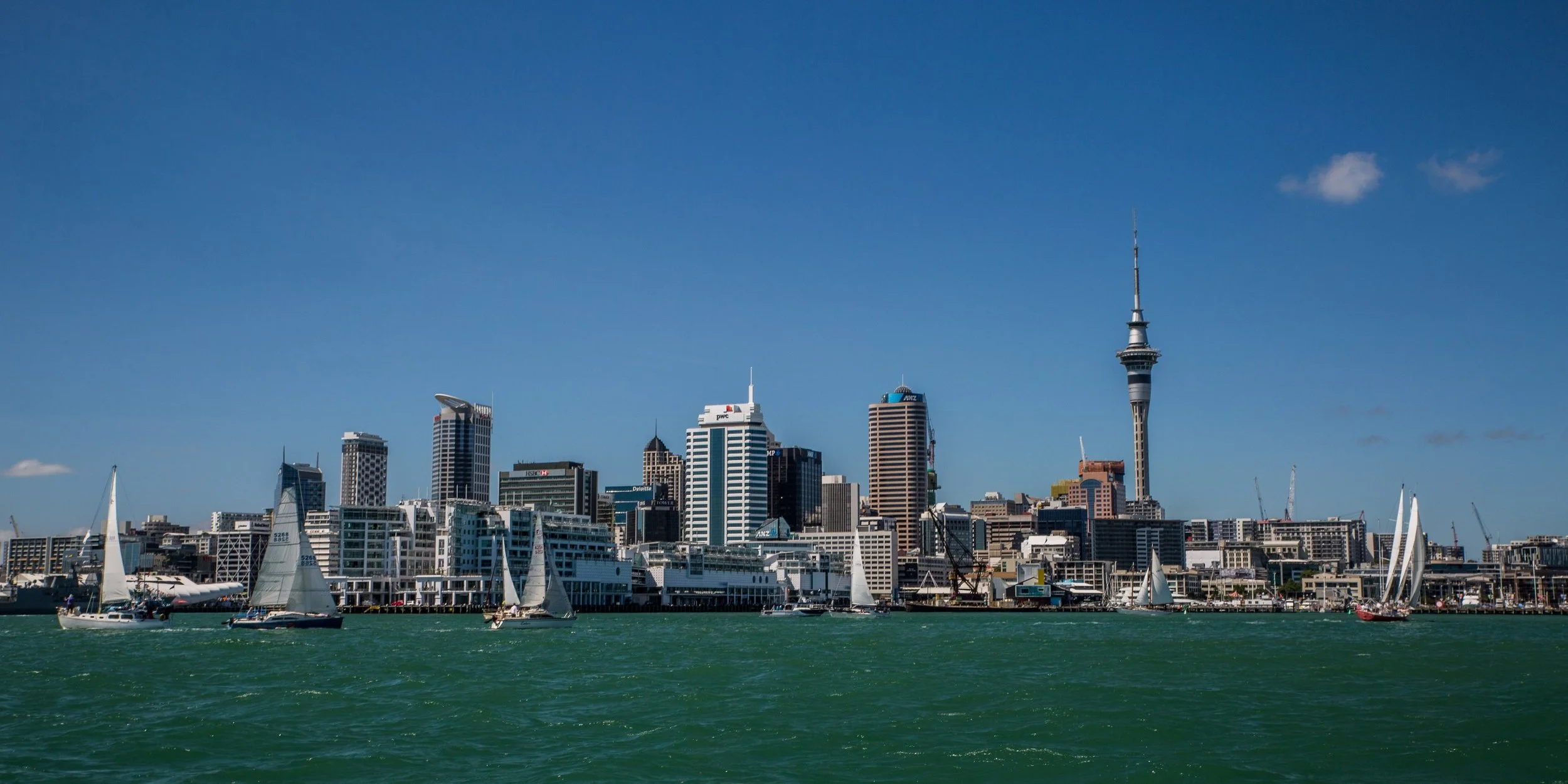 Auckland Anniversary Regatta-3917d.jpg