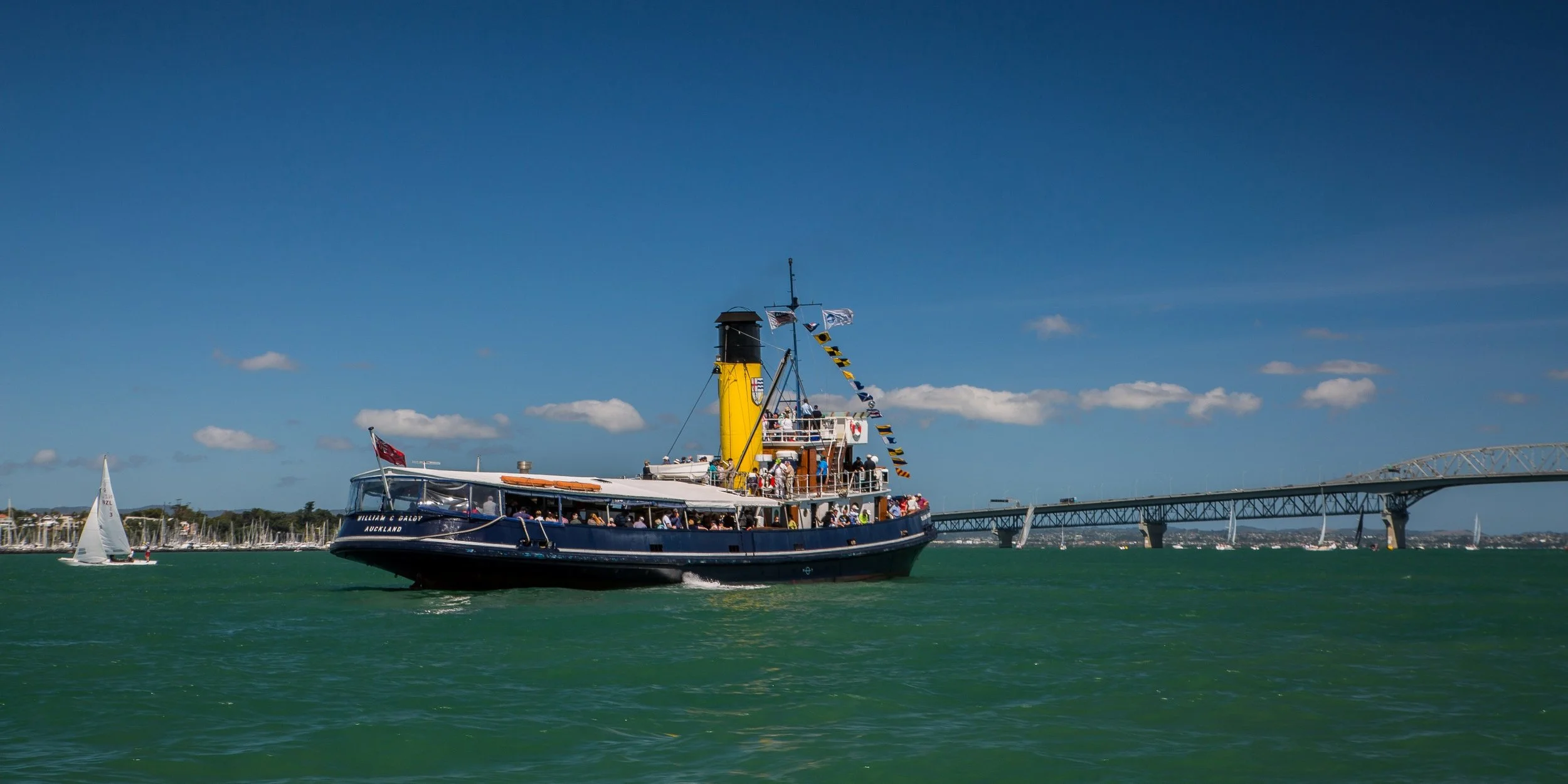 Auckland Anniversary Regatta-3940d.jpg