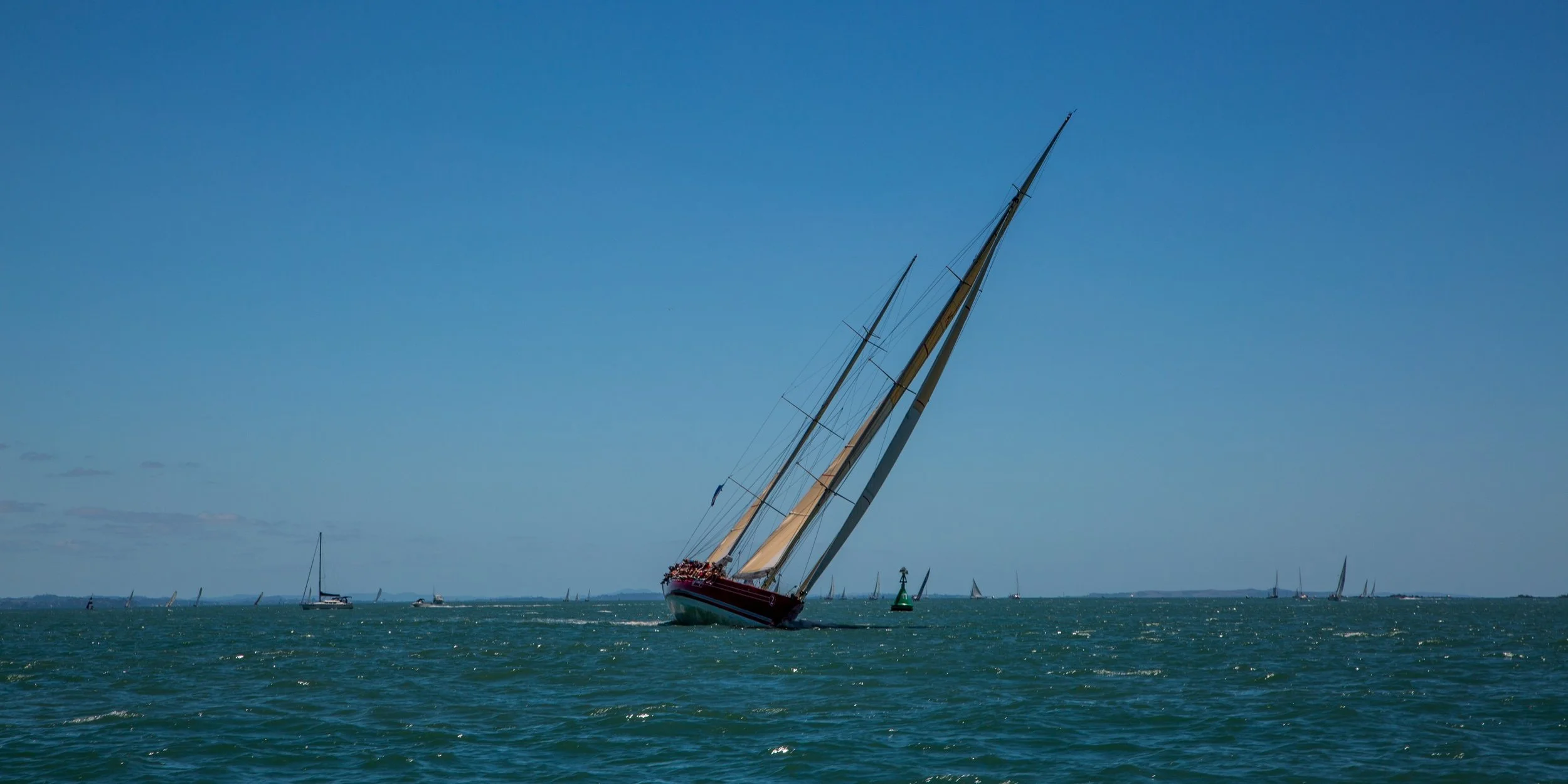 Auckland Anniversary Regatta-3976d.jpg