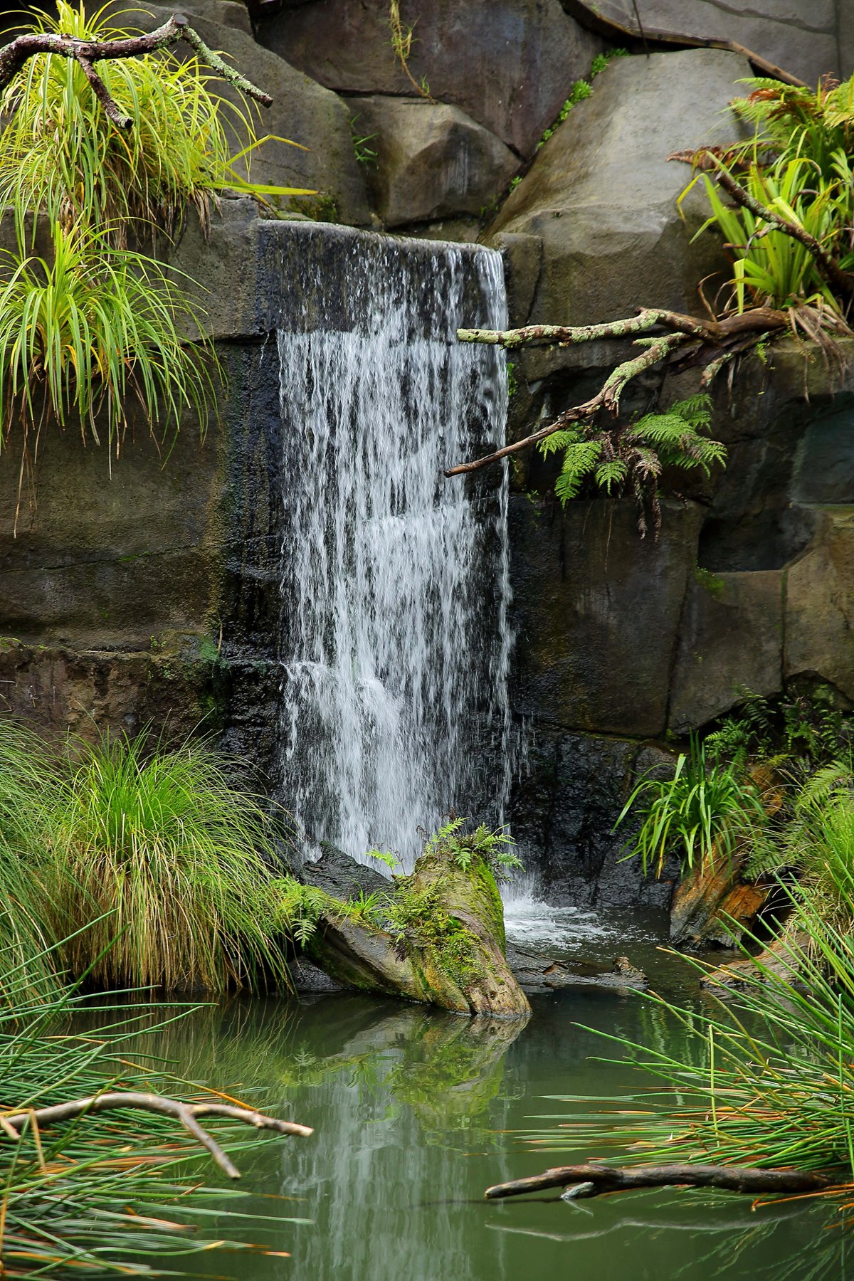 Zoo Waterfall 1,-.jpg