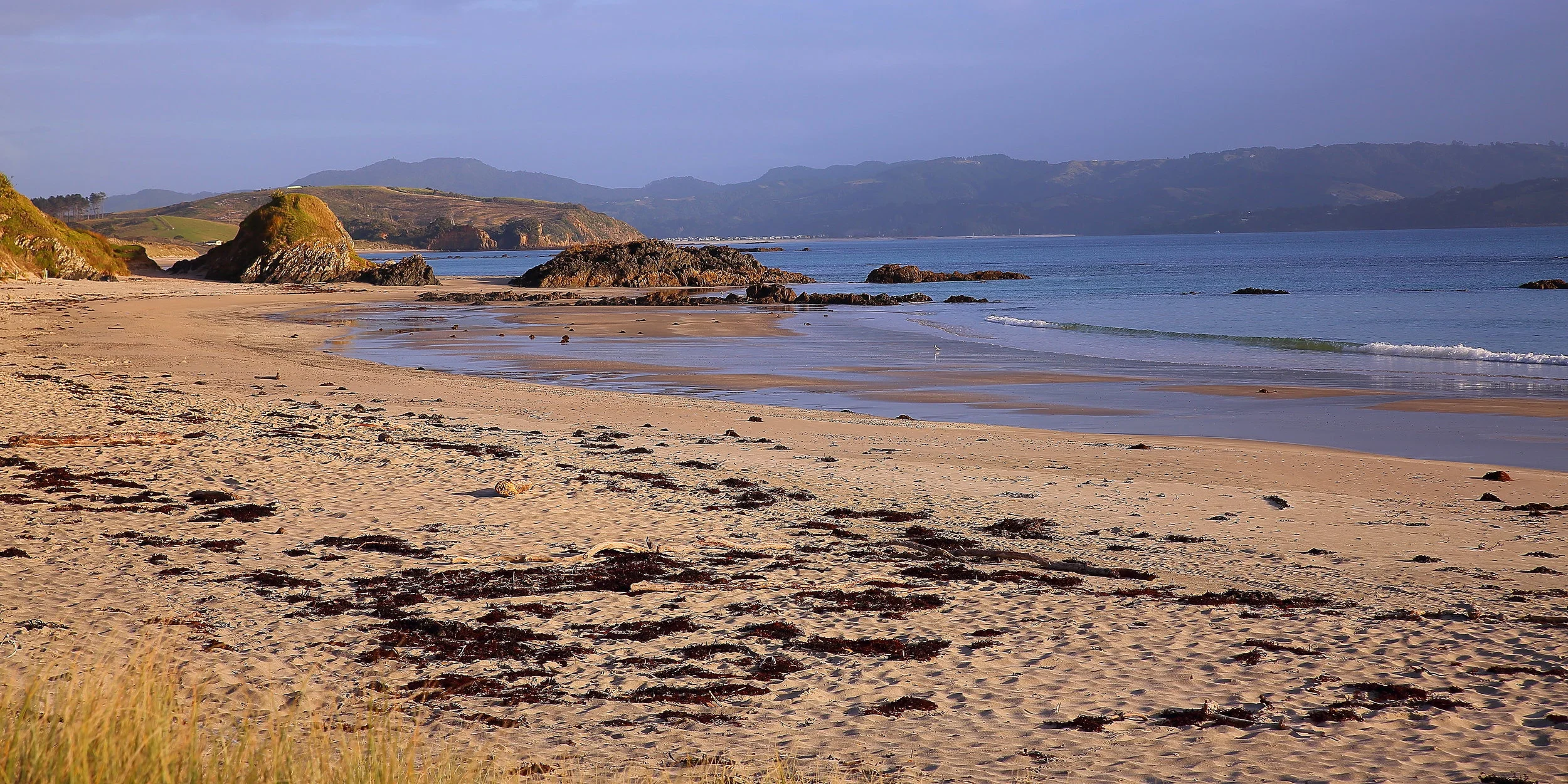 Tawharanui,Anchor Bay 150426 387(21).JPG