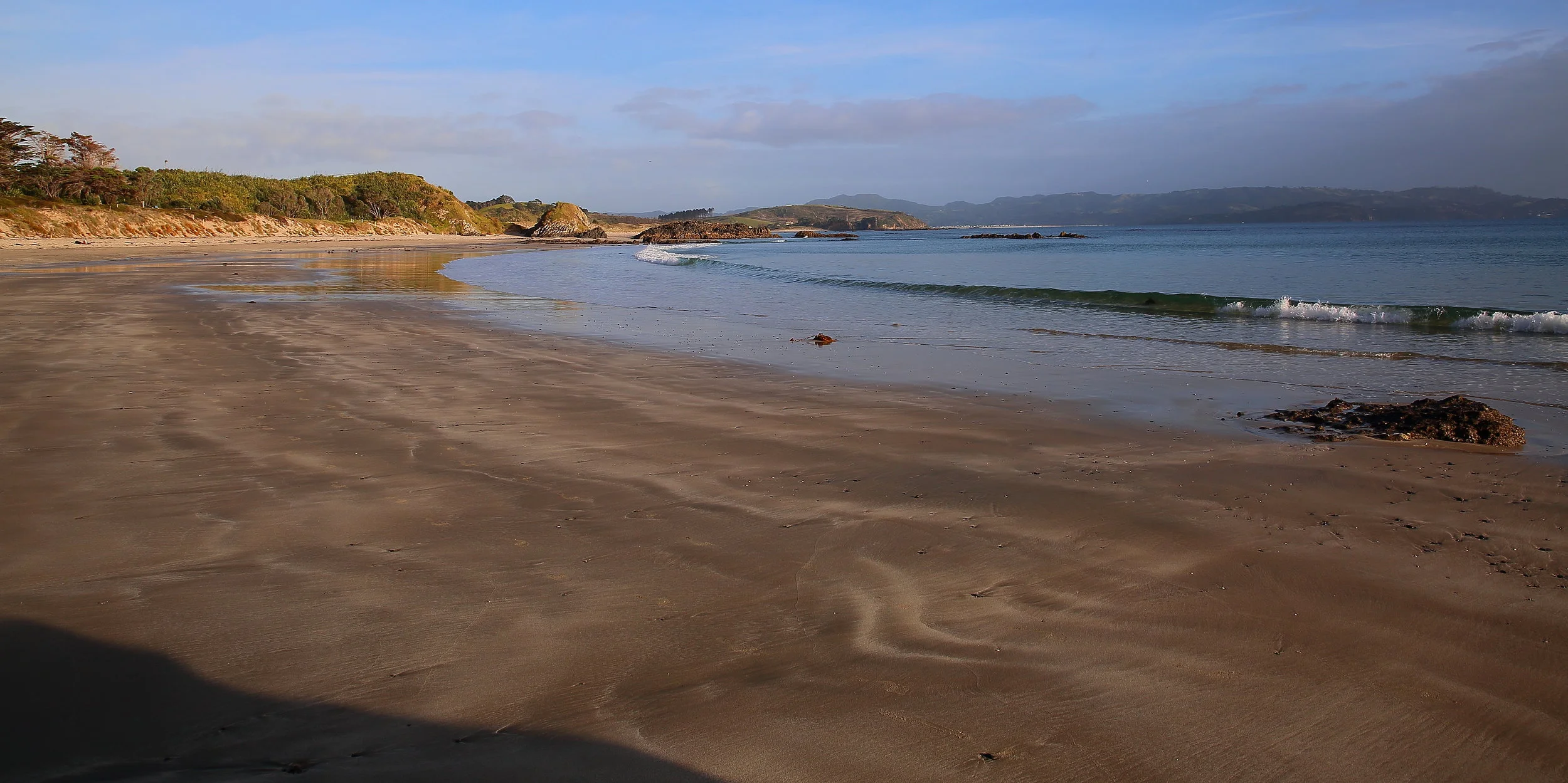 Tawharanui,Anchor Bay 150426 389(21).JPG