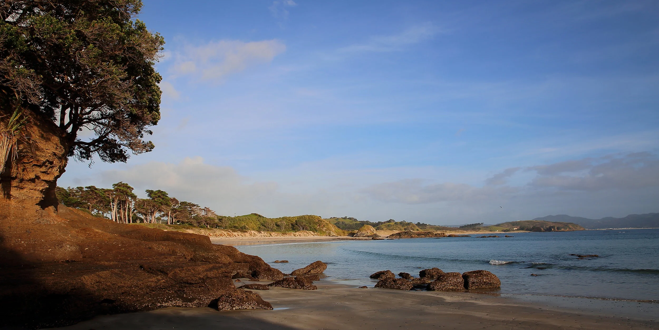 Tawharanui,Anchor Bay 150426 394(21).JPG