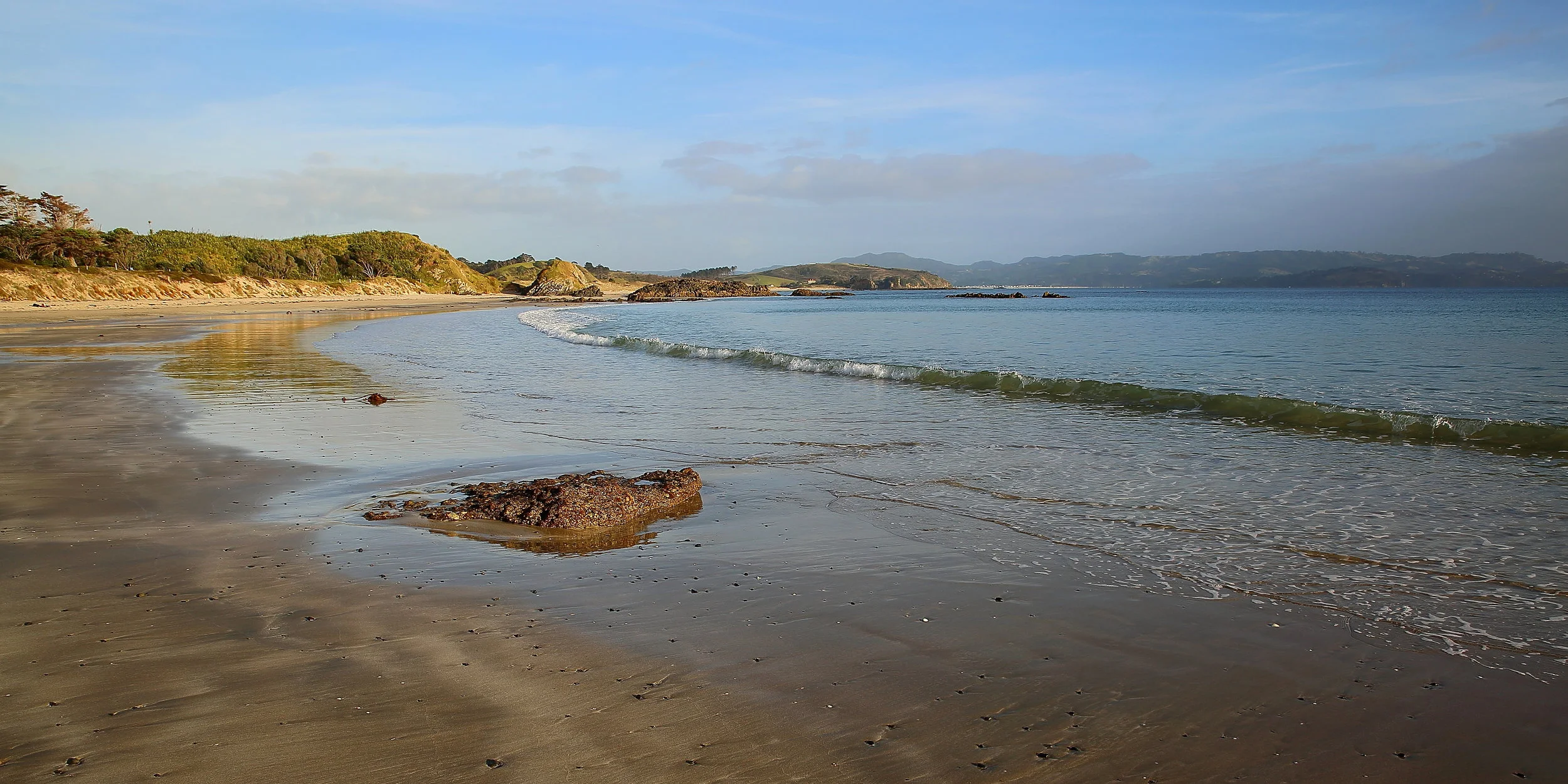 Tawharanui,Anchor Bay 150426 390(21).JPG