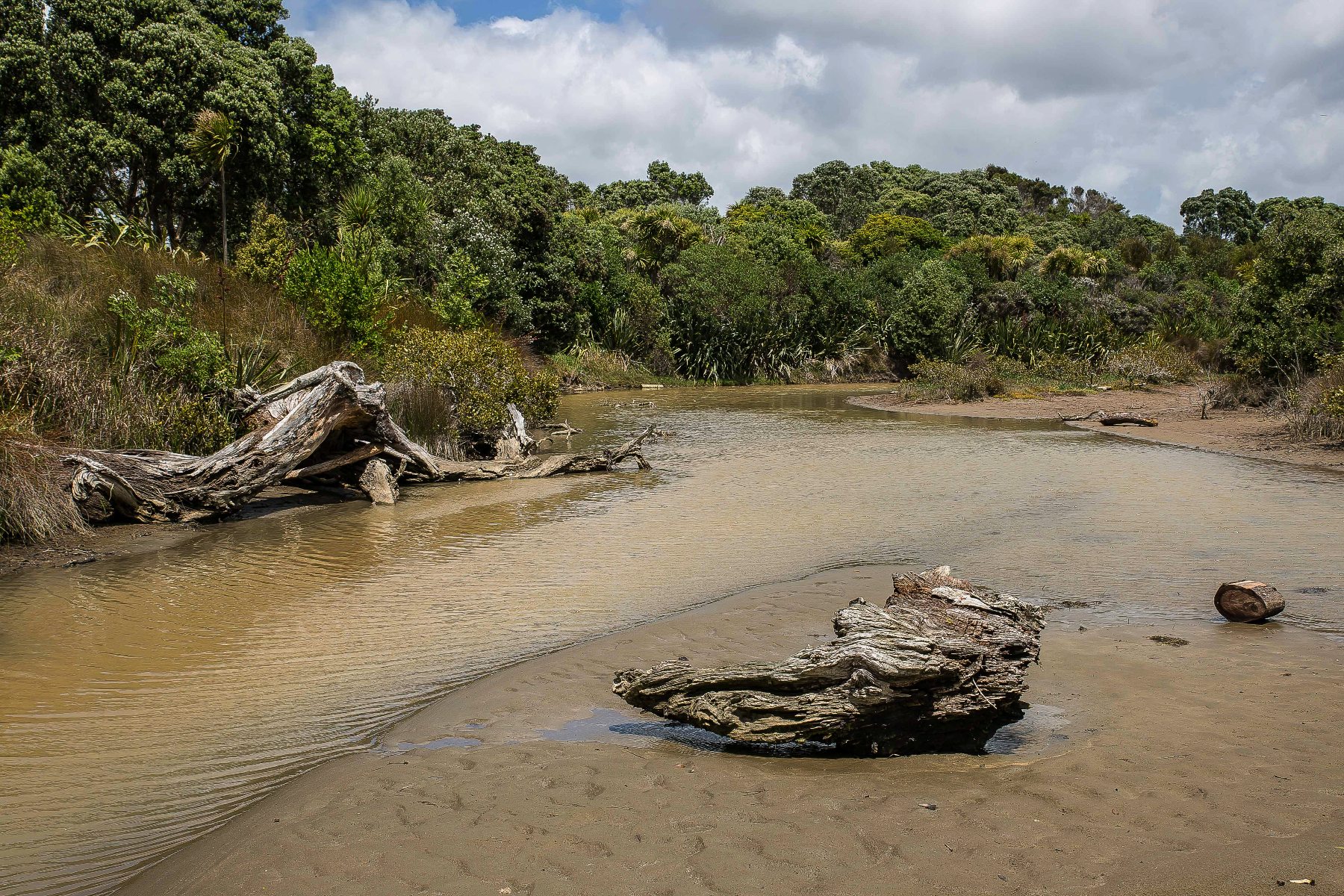 Long Bay,-760d.jpg