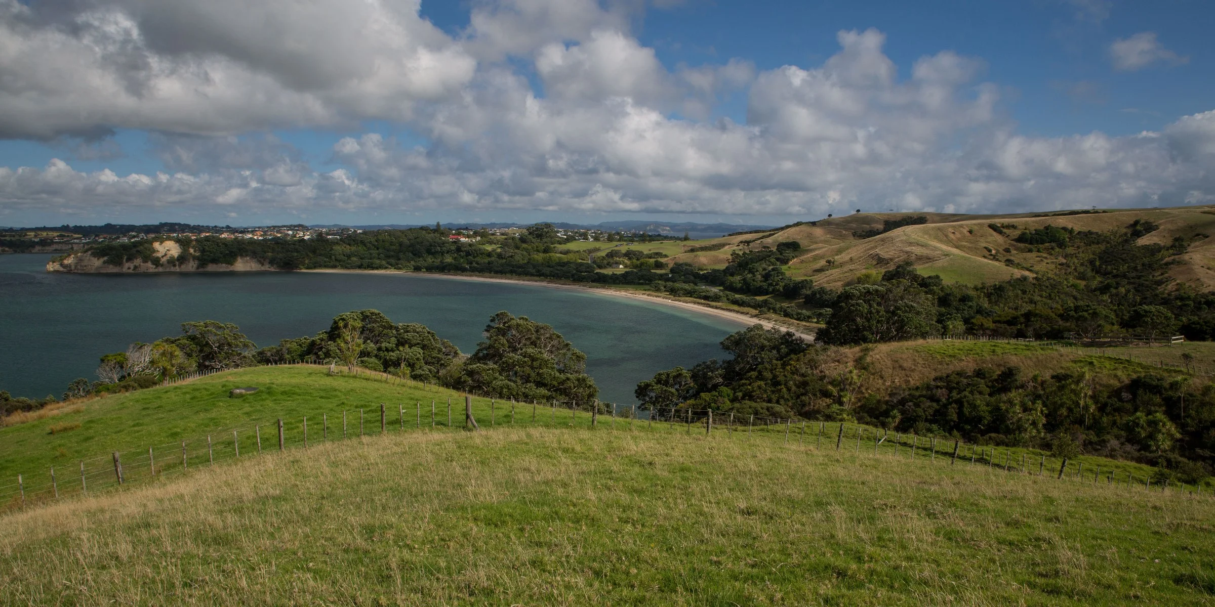 Te Haruhi Bay,Shakespear Regional Park,-4063d.jpg