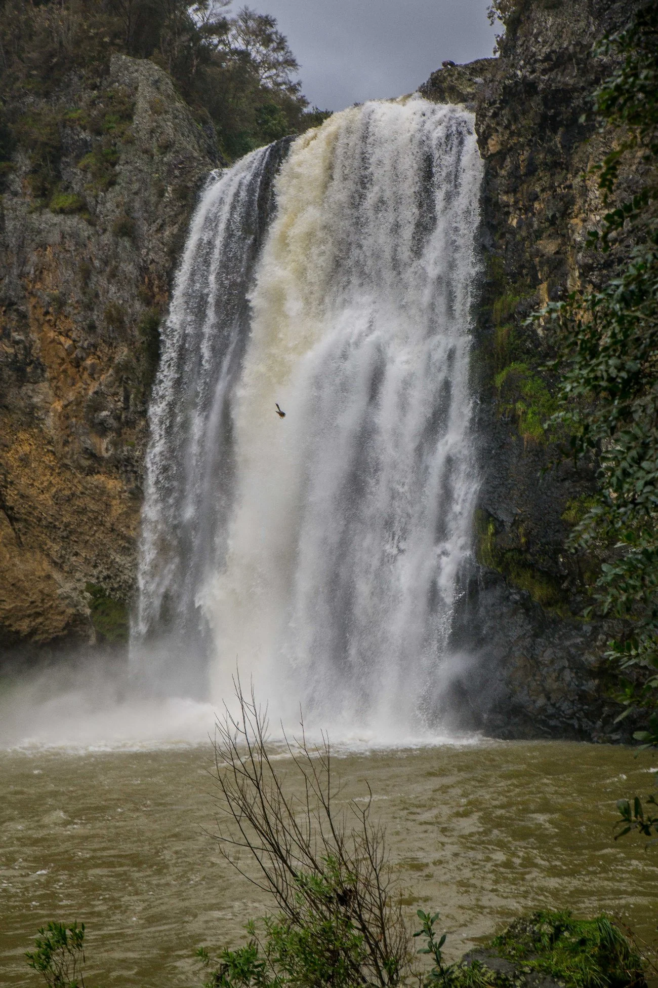 Hunua Falls-133d.jpg
