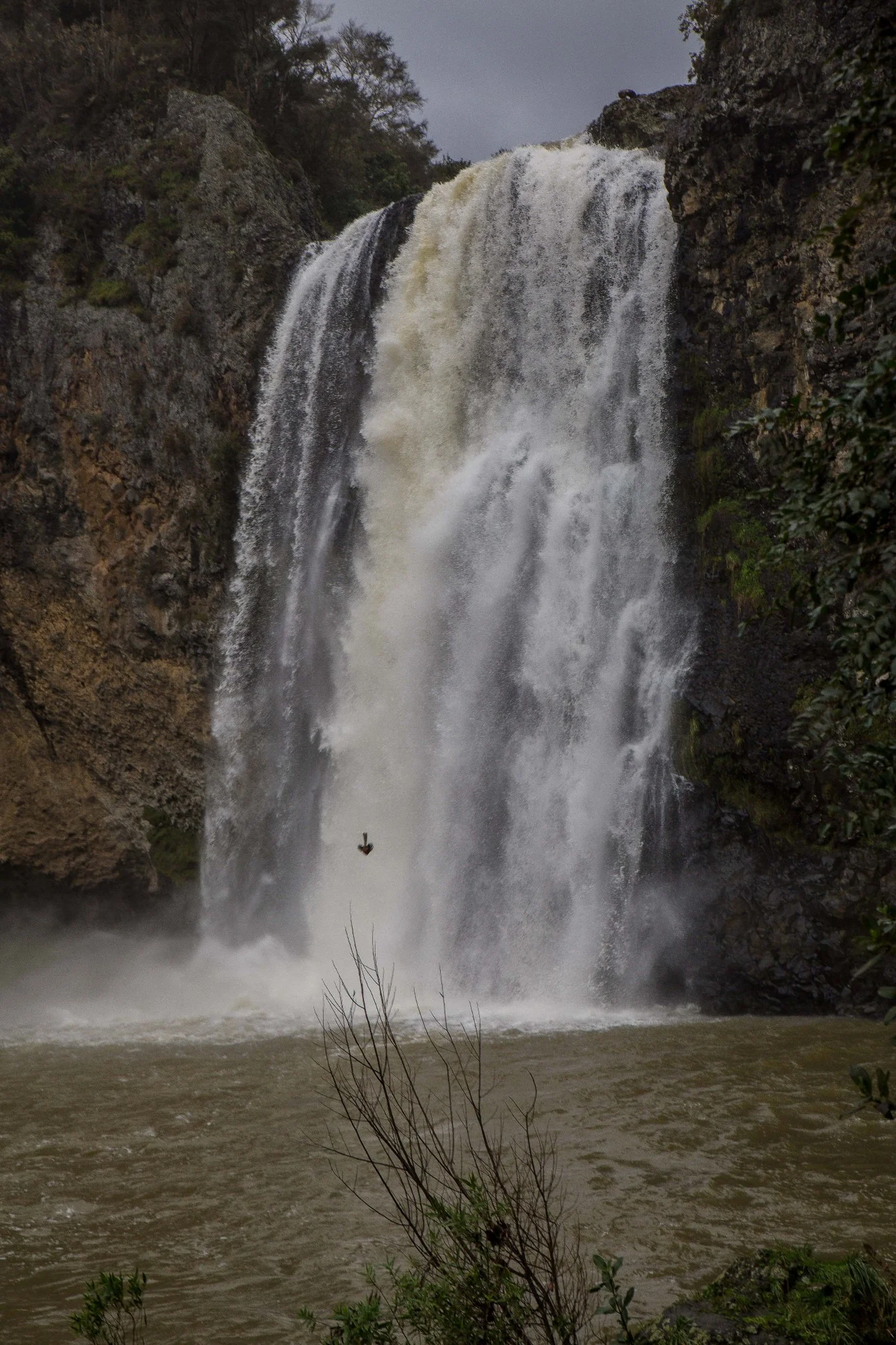 Hunua Falls-135d.jpg