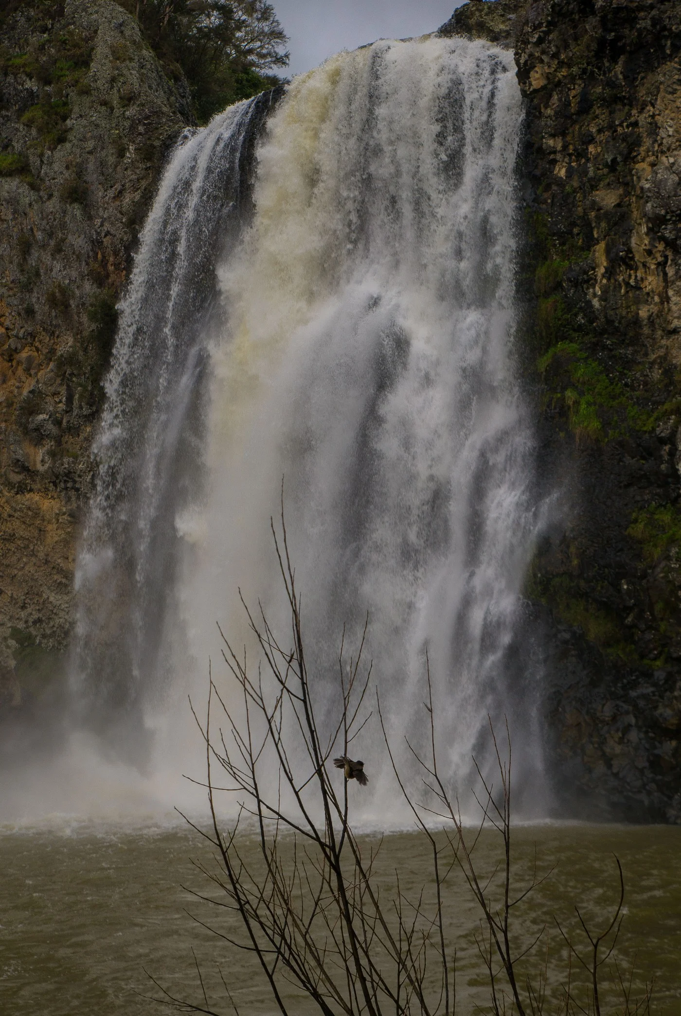 Hunua Falls-176d.jpg