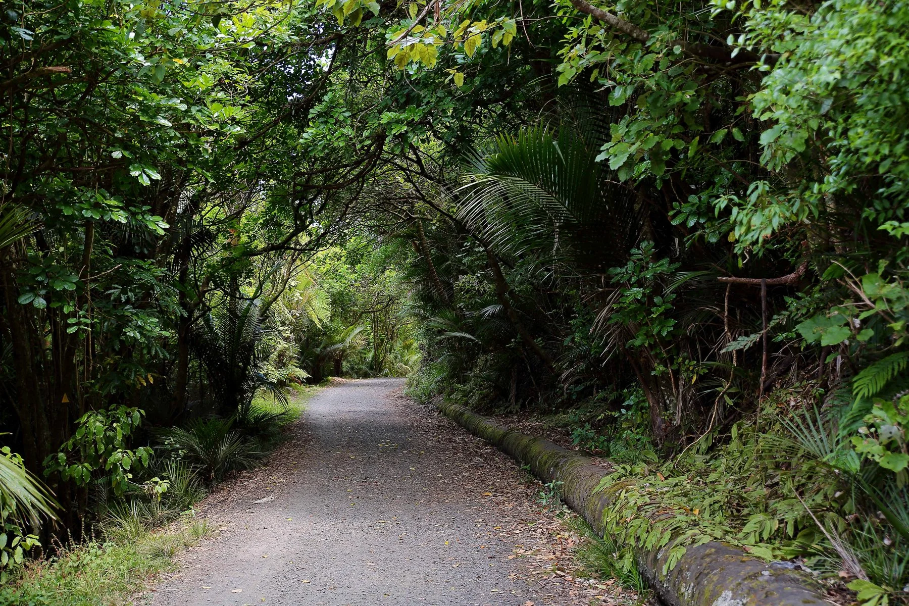 Exhibition Drive-127d.jpg