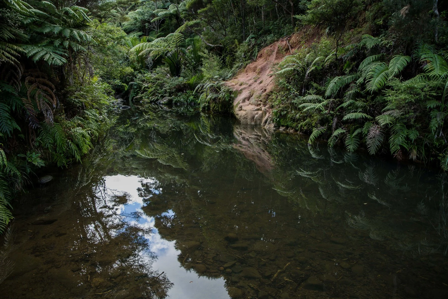 Kakamatua Stream-080d.jpg