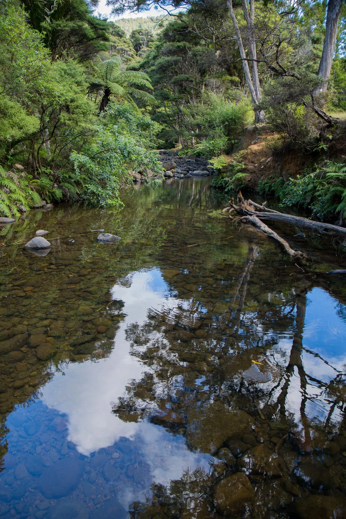 Kakamatua Stream-085d.jpg