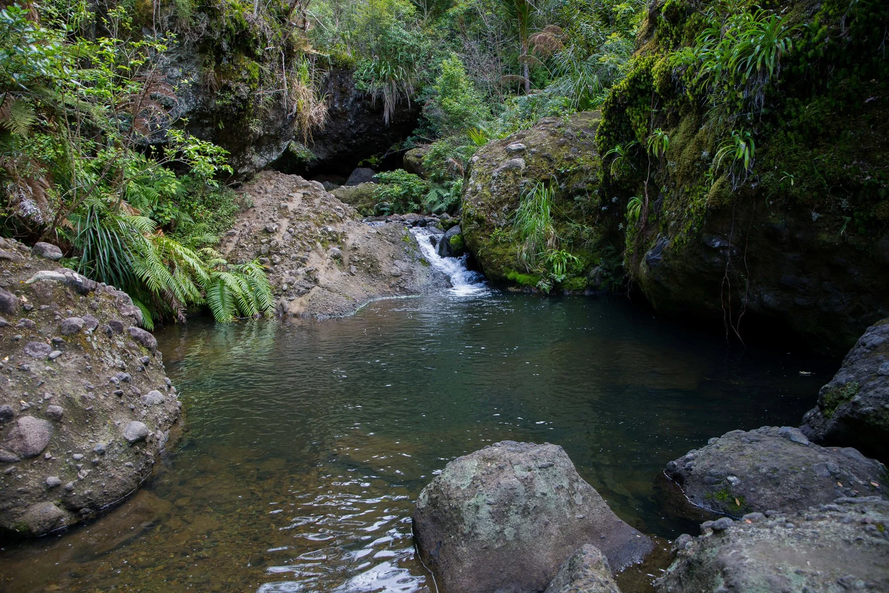 Kakamatua Stream-093d.jpg