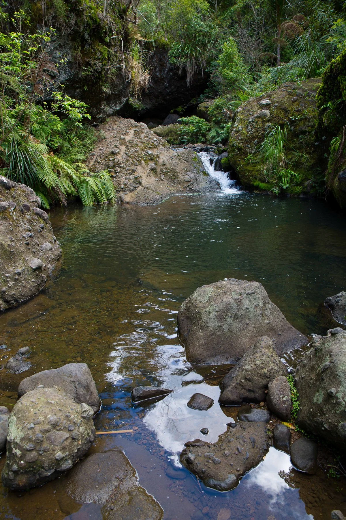 Kakamatua Stream-094d.jpg