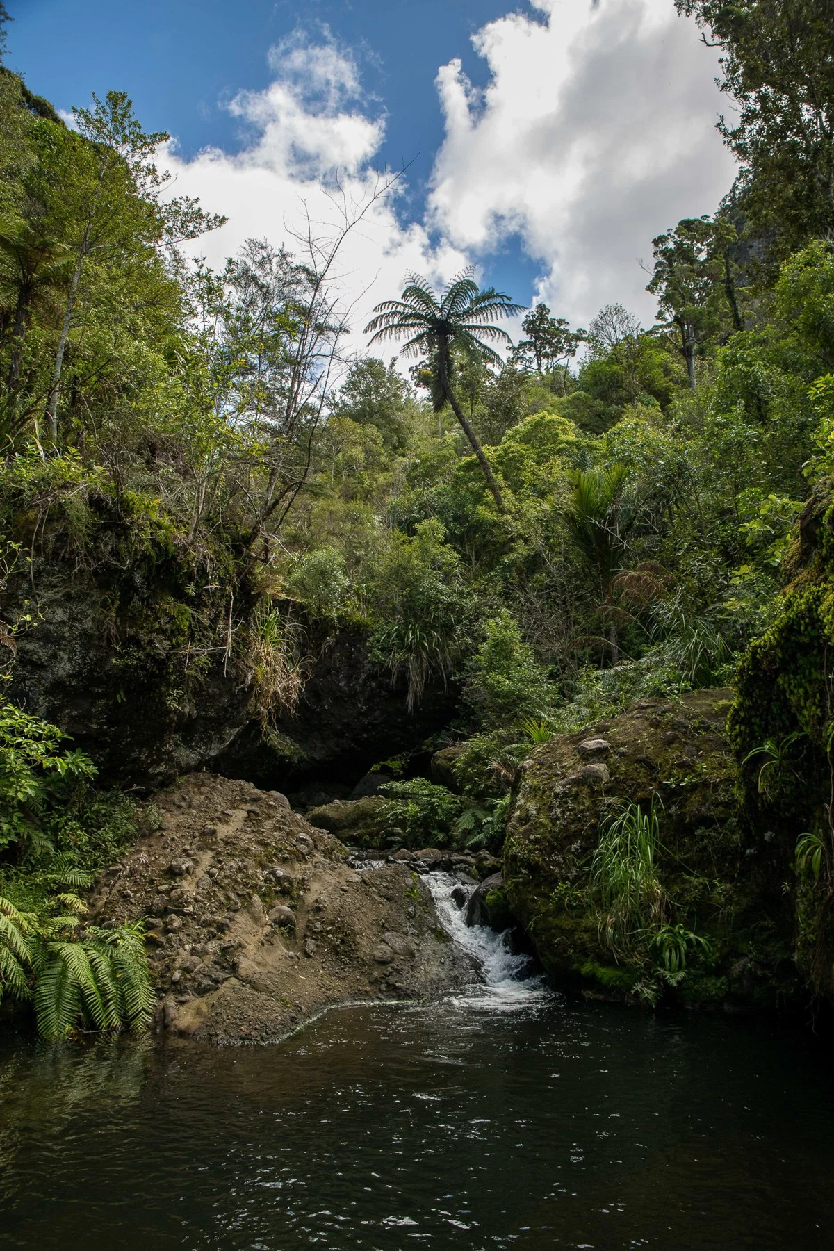 Kakamatua Stream-096d.jpg