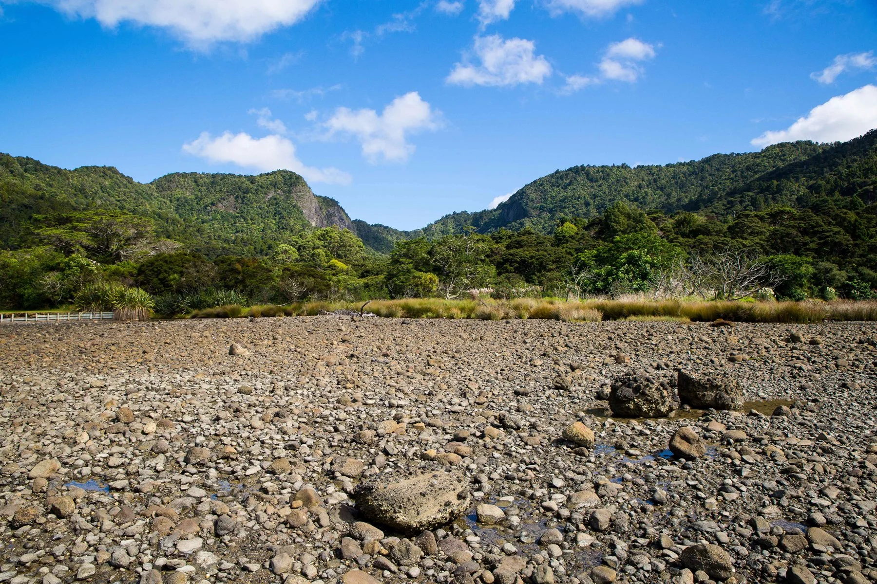 Kakamatua Valley-059d.jpg