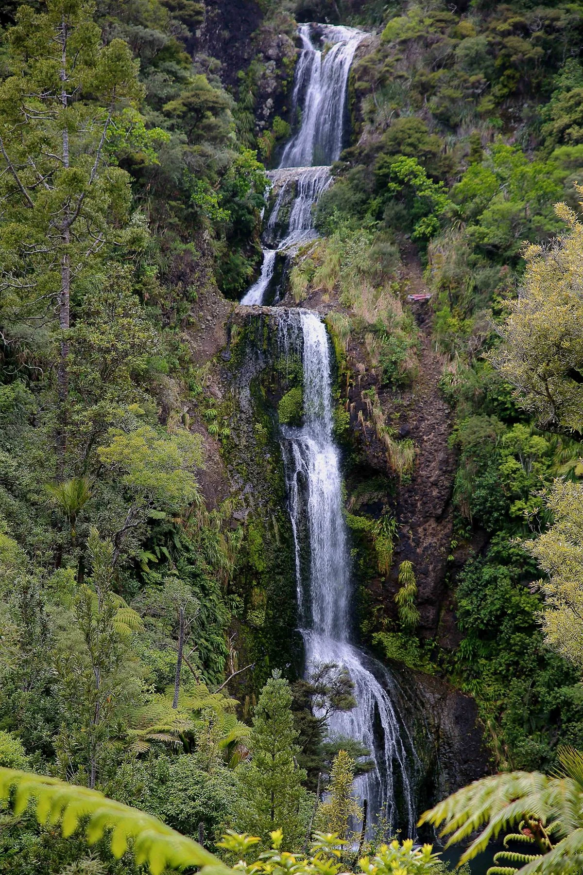 Kitekite Falls-406d.jpg