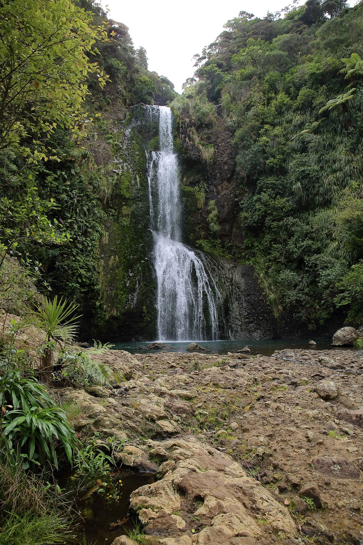 Kitekite Falls-432d.jpg