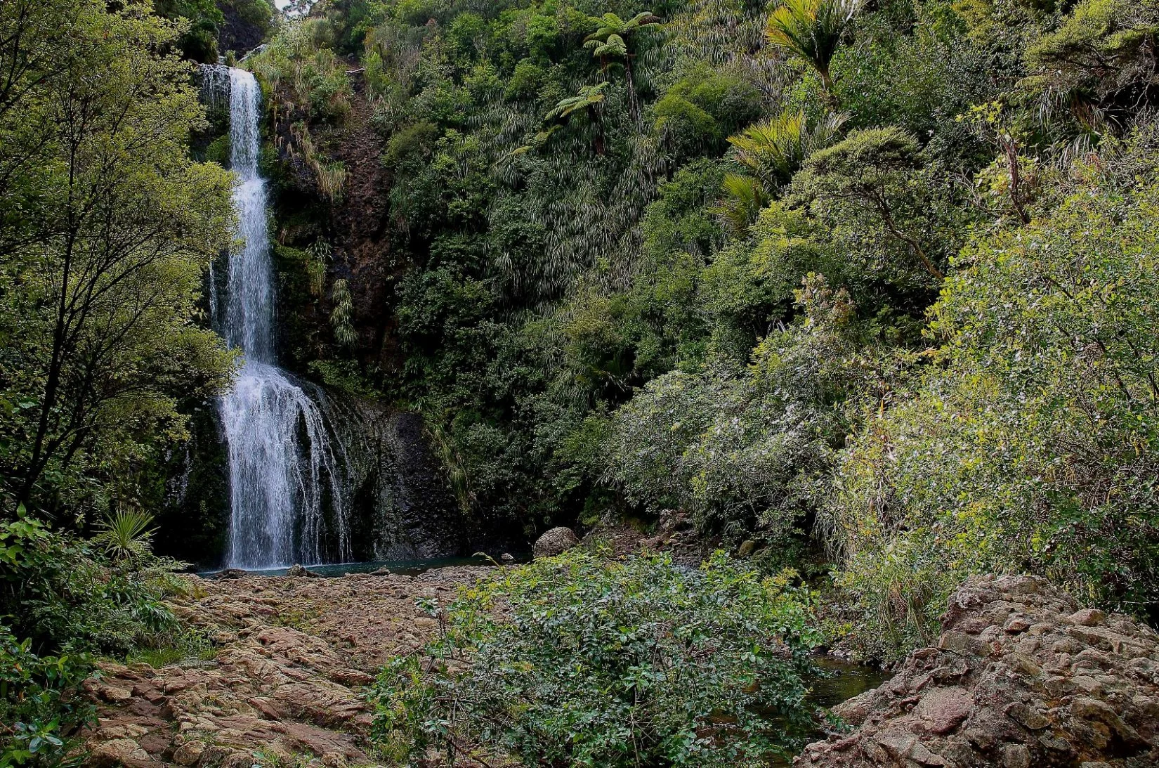 Kitekite Falls-433d.jpg