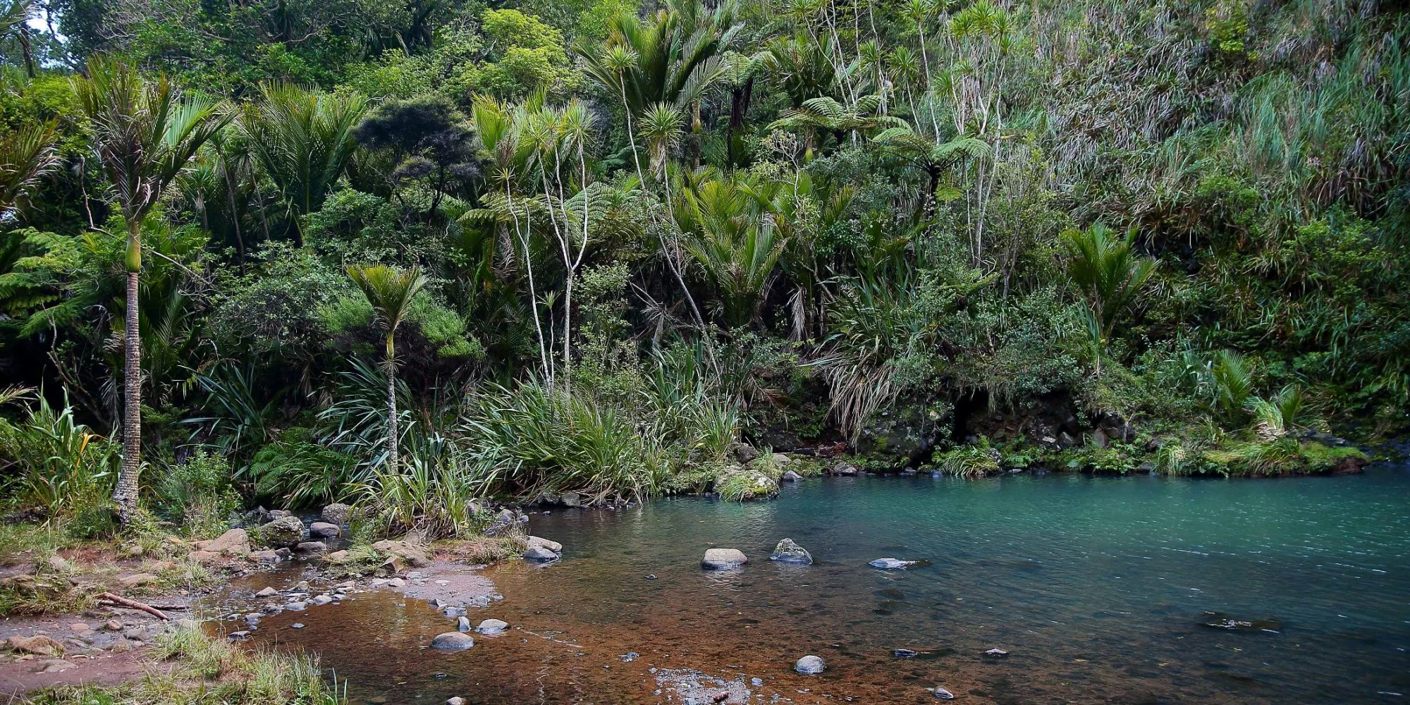 Karekare Falls, 081d-.jpg