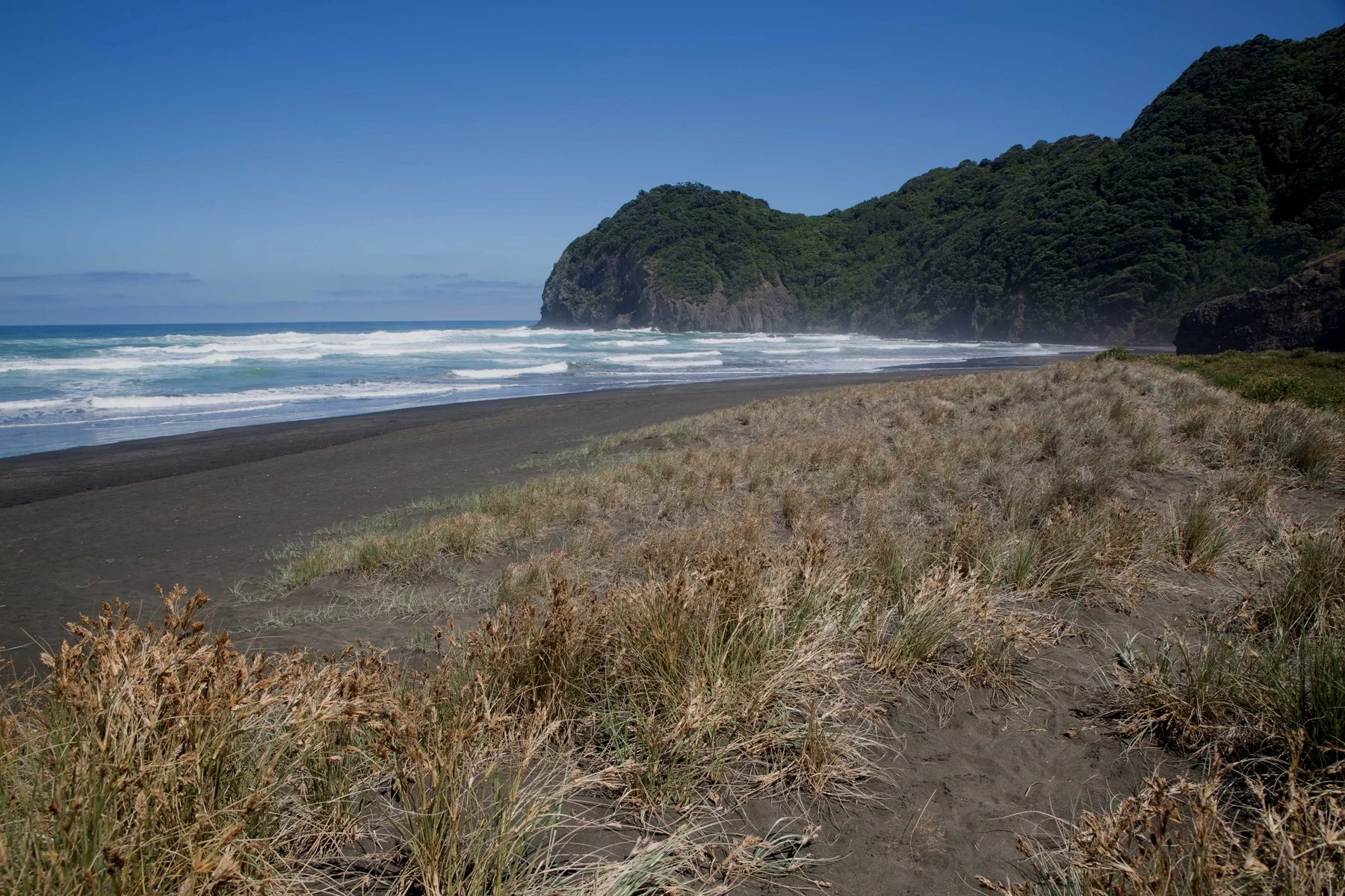 Piha North,-322d.jpg