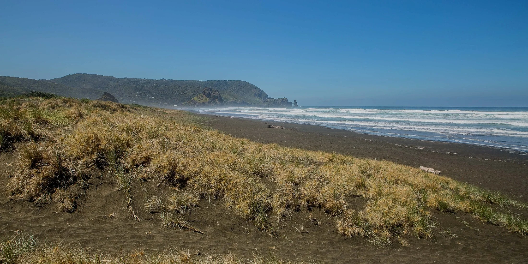 Piha North,-321d.jpg